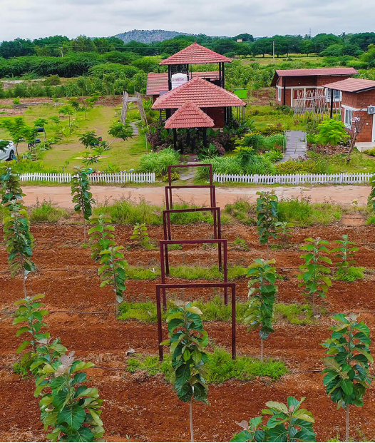 Farm House For Sale Near Bangalore